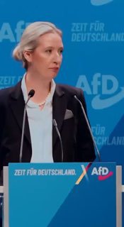 Вайдель пообещала закрыть границы Германии