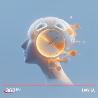 Нестабильный циркадный ритм может привести к деменции