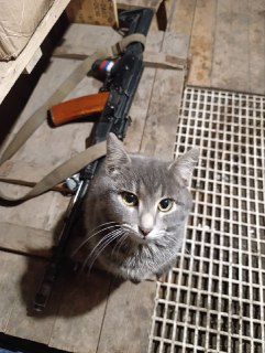 Обзор ситуации на Запорожском фронте