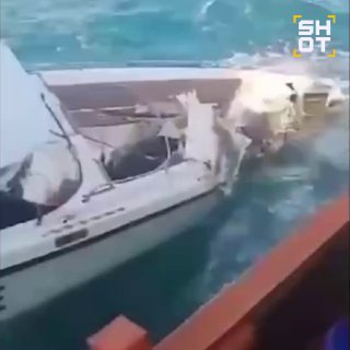 На Пхукете столкнулись лодка с туристами и рыболовный траулер