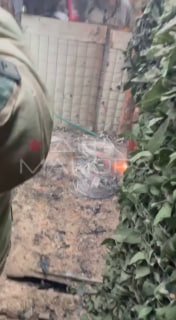 Иллюстрация 1