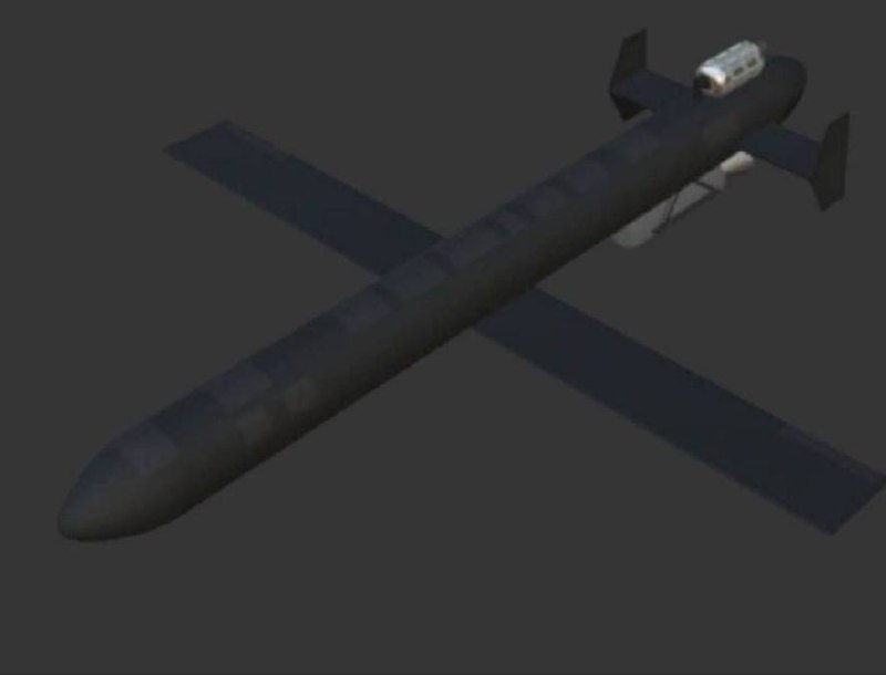 Применение БПЛА "Герань-5" на Южном фронте