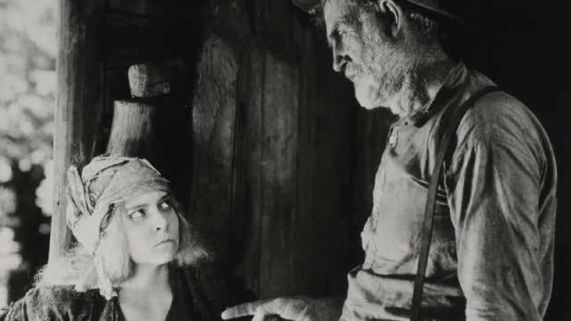 Иллюстрация 6