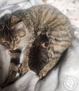 Иллюстрация 7