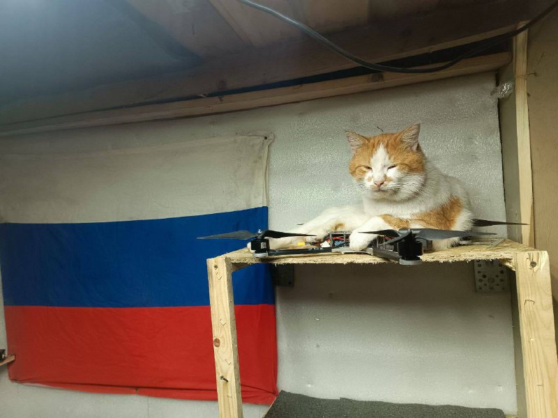 Иллюстрация 1