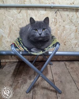 Иллюстрация 10