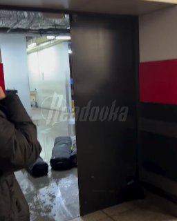 Багаж пассажиров «Аэрофлота» нашли в луже в Шереметьево