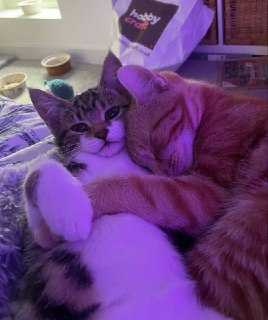 День «Девочки обнимают мальчиков»