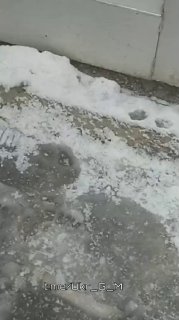 Иллюстрация 5