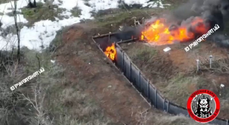 Иллюстрация 3