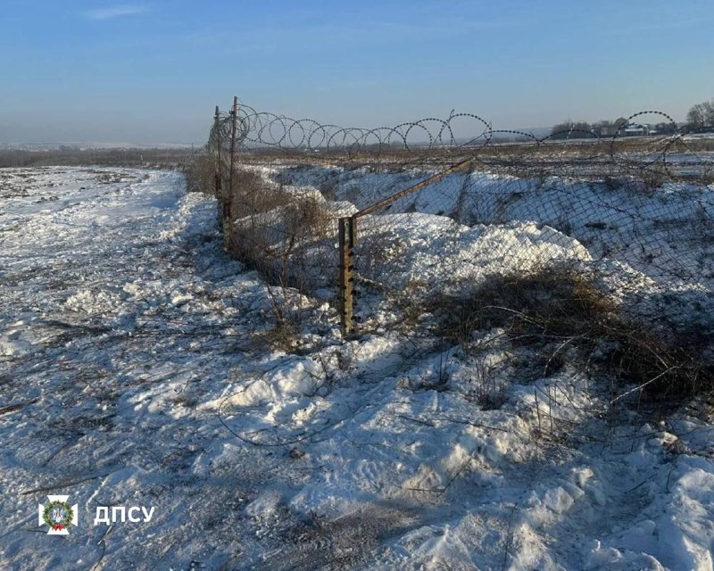 Иллюстрация 5