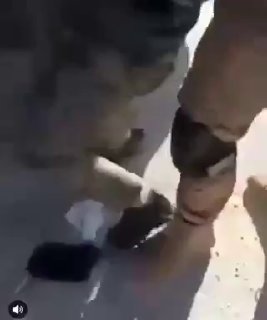 Иллюстрация 2