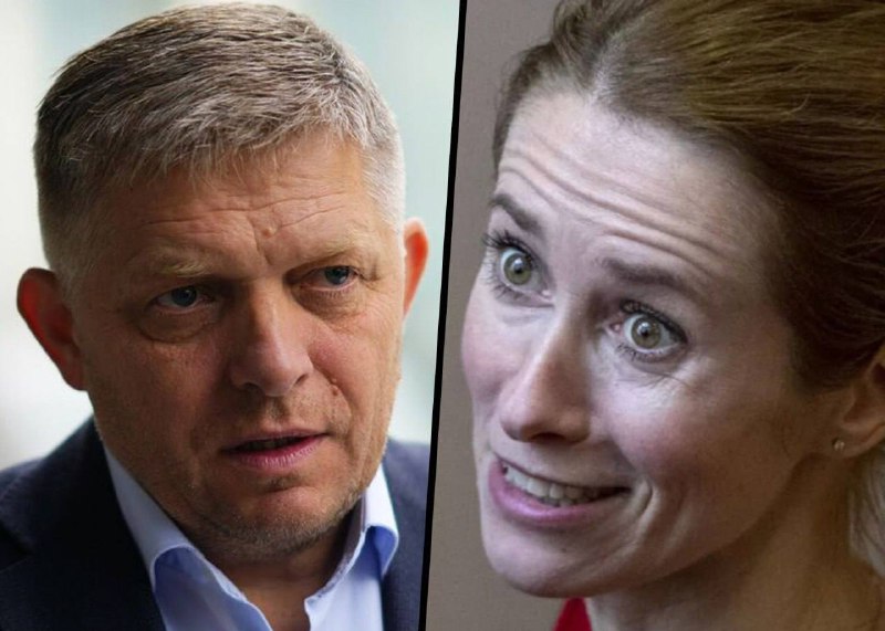 Фицо считает, что Каллас нужно уйти с поста главы евродипломатии