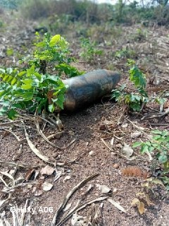 Иллюстрация 1