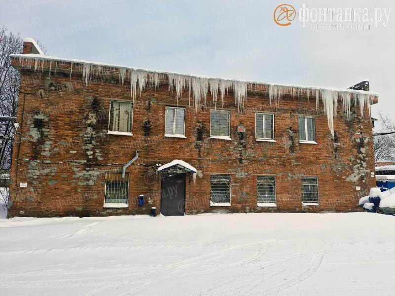 Иллюстрация 4