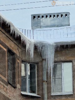 Иллюстрация 6