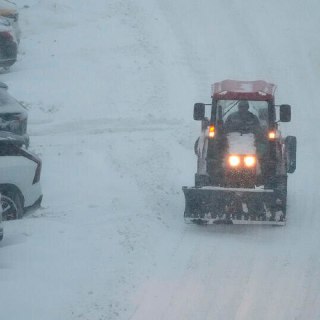 Иллюстрация 1