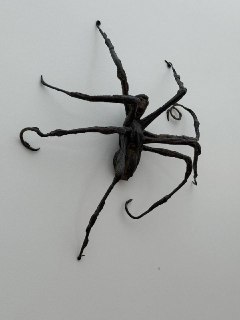 Иллюстрация 2