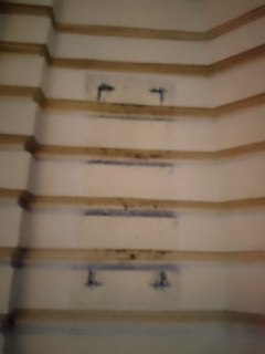 Иллюстрация 2