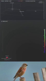 Расшифровка языка животных: научный прорыв