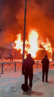 Иллюстрация 1