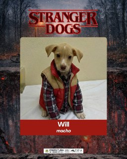 Иллюстрация 5