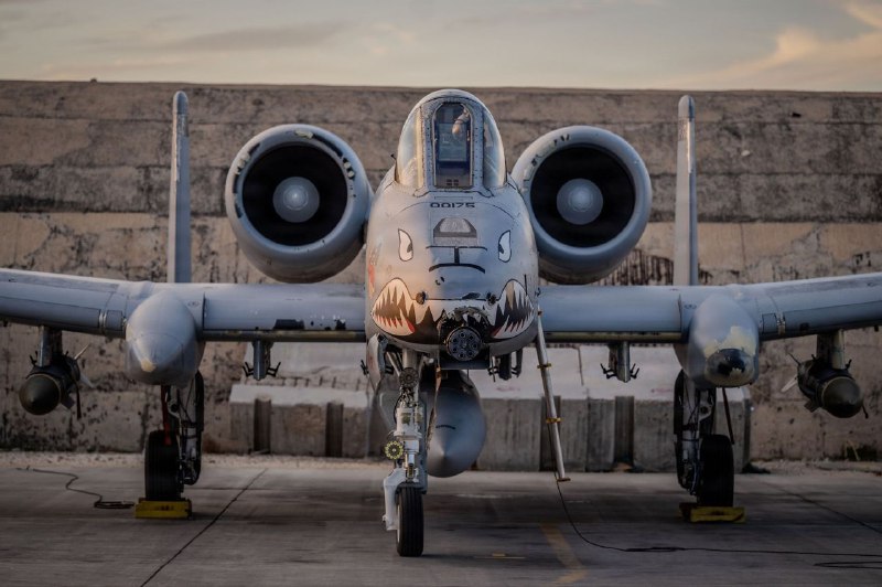 Иллюстрация 2