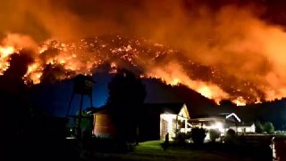 Обвинения в поджоге лесов Патагонии
