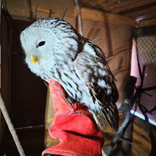 Иллюстрация 3