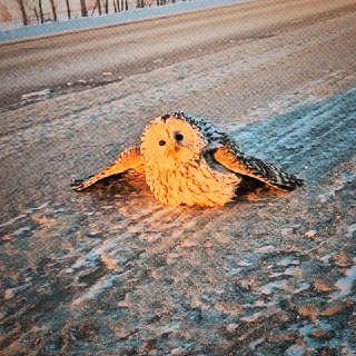 Иллюстрация 4