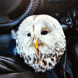 Иллюстрация 5