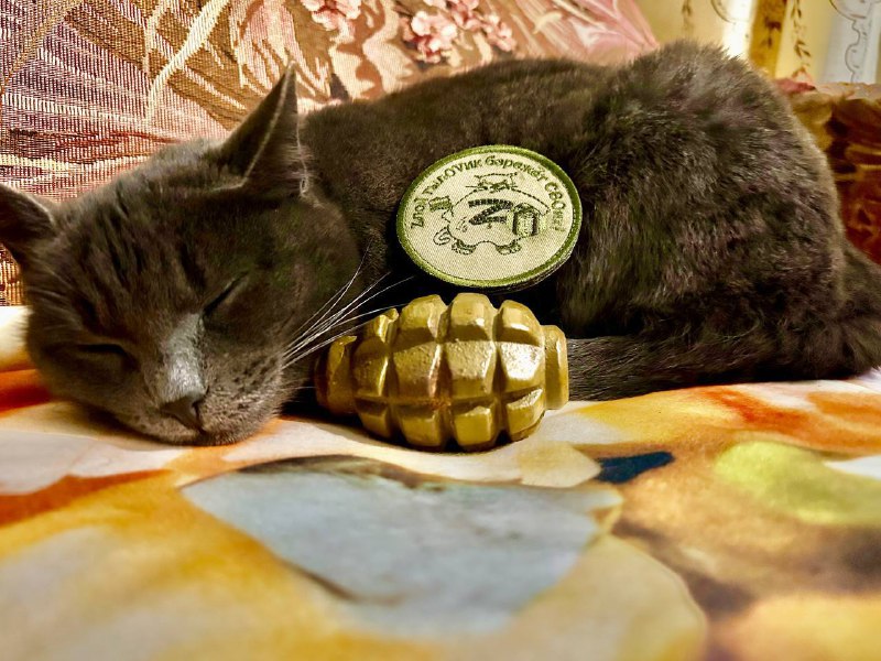 Обзор ситуации на Запорожском фронте