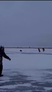 Кабан ограбил рыбаков