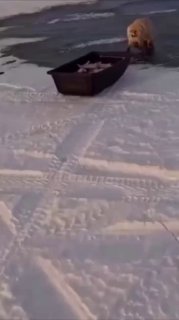 Иллюстрация 2