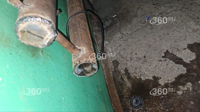 Иллюстрация 2