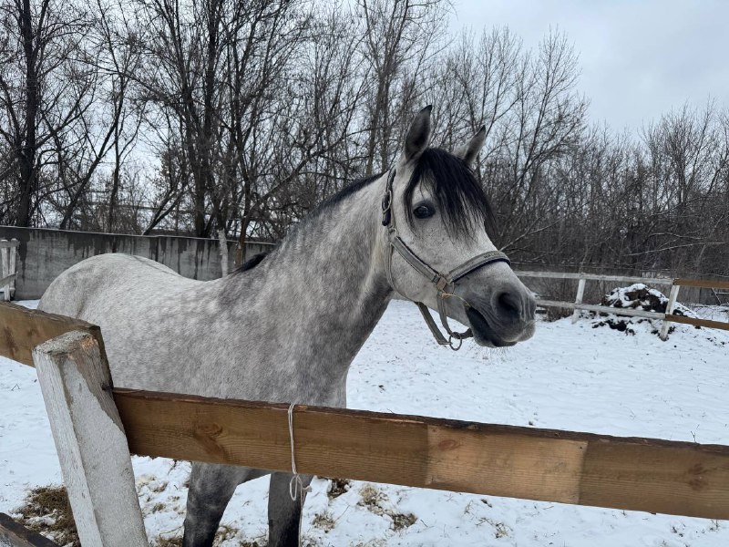 Иллюстрация 2