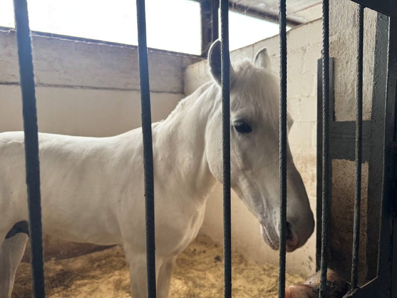 Иллюстрация 3