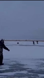 Иллюстрация 1